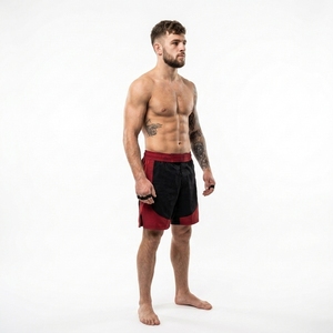 Pantalones Cortos de MMA Transpirables de Secado Rápido, Precio Ajustable, Calidad Premium, Gran Venta, Ligeros, Totalmente Personalizables al 100% - Product Image 6