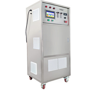 Máquina de Tratamiento de Agua con Ozono Industrial Dr.Ozone D-100 Pro PLC, Panel de Control PLC, Calidad Premium y Precio de Fábrica, Vietnam - Product Image 4