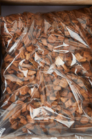 Qualité d'exportation supérieure, copeaux de coquille en vrac, idéal pour terrarium, tortues, geckos, serpents, amphibiens, rongeurs, grenouilles, fabriqué au Sri Lanka