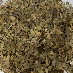 Wholesale Dried Soursop Leaves Tea Premium Quality Graviola Leaves Herbal Tea Manufacturer Vietnam - Product Image 6