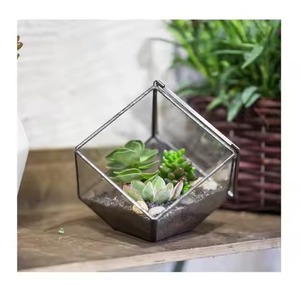 Unique Indoor Metal Terrarium Glass Plant Holder Decorative Geometric Display Box Home Accent - Product Image 5