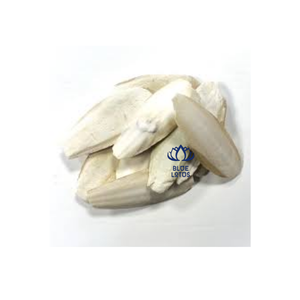 NOUVEAU Alimentation pour oiseaux à base de farine de poisson, écologique, de marque réputée, source de calcium premium, jouets pour oiseaux pour cages, vente en gros, export et détail pour animaleries - Product Image 1