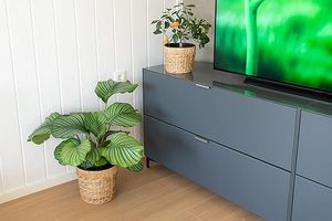Juego Ecológico de 3 Macetas de Jacinto de Agua con Revestimiento Impermeable, Estilo Rústico, Más Vendidas para Hogar, Jardín, Interior y Exterior - Product Image 5