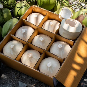 มะพร้าวน้ำหอมสด ผลผลิตน้ำสูง สำหรับส่งออก - Product Image 6