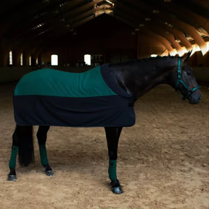 Nueva Manta para Caballo 2026 del Mejor Fabricante, Impermeable, para Todas las Estaciones, Relleno de Poliéster, 2 Correas para las Patas, Hecha a Máquina, OEM ODM - Product Image 2