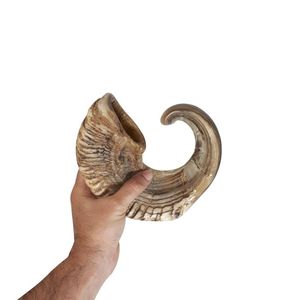 Shofar de Cuerno de Carnero Natural Hecho a Mano, Instrumento Tradicional Judío, Cuerno para Soplar, Shofar de Curio Craft - Product Image 3
