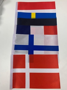 Bandera Personalizada para Agitar con la Mano, Impresa por Sublimación en Poliéster con Palo de Plástico para Promoción de Eventos, OEM ODM - Product Image 2