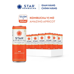 Bebida de Kombucha de Albaricoque en Venta, 250 ml, Marca Star Kombucha, Bebida de Té Fermentado, Precio Competitivo, Exportación al por Mayor - Product Image 2