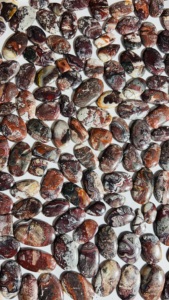 Cabujones de Ágata Crazy Lace Natural de Trimurti Gems |   Piedras Preciosas Sueltas al por Mayor de Diferentes Formas de 15-50 mm para la Fabricación de Joyas, Rajasthan - Product Image 3