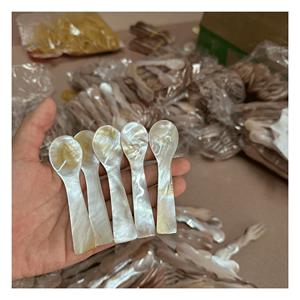 mother of pearl spoon created from natural <b>shell</b> surface for serving desserts coffee and table presentation, made in Vietnam - Product Image 2