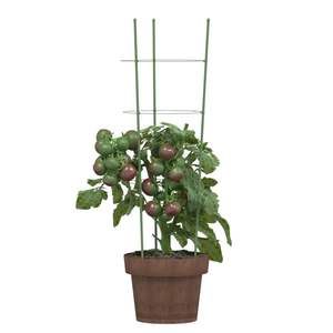 Ensemble de 5 supports pour plantes de jardin verts, fournitures de jardin essentielles - Product Image 3