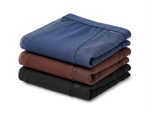 Pantalones Menstruales sin Costuras de Diseño Moderno, Ropa Interior de Nailon con Cobertura Total para el Periodo, Negro, Marrón, Azul - Product Image 3