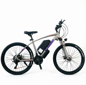 Vélo de montagne électrique 26*1.95 pouces, cadre en alliage d'aluminium, moteur sans balais, batterie lithium longue portée 36V 20AH - Product Image 1
