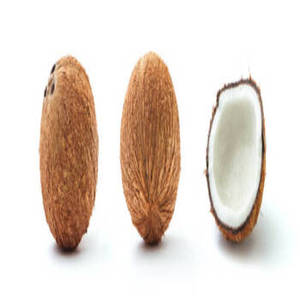 Noix de coco râpée fraîche d'Inde pour biscuits, gâteaux, macarons à la noix de coco, mélanges de desserts et fabrication de pâtisseries à grande échelle - Product Image 6