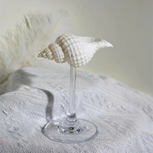 Copas de Concha Natural Personalizadas 2026, Copas de Concha Únicas, Copas de Concha Marina, Copas de Vino, Copas de Martini Decorativas Exquisitas - Product Image 1