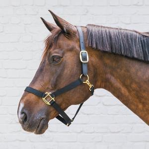 Equestrian Sports Products Horse Nylon <b>Halters</b> Customized Sizes Available in Cheap Price in Pakistan - Product Image 3