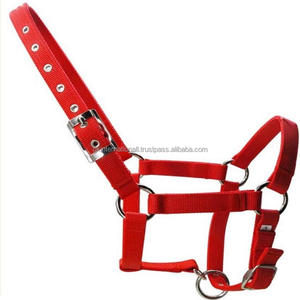 Caballo ecuestre de nailon de alta calidad, Halter práctico, equipo de equino duradero, personalizado, carreras, halter, venta al por mayor - Product Image 1