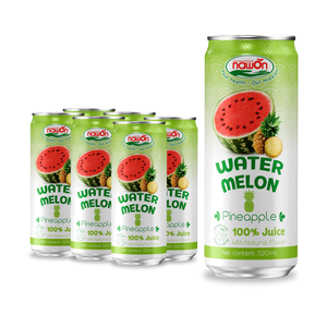 Free Sample Low MOQ 100% Watermelon Juice with Ginger Drinks 320ml Canned Healthy Fruit Juice OEM ODM Beverage Manufacturer - Product Image 4