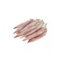 Meilleur Stock Calamars Congelés de Qualité Supérieure, Tubes Lavés à la Machine, Sans Additifs, Vente en Gros, Prêts à Expédier, Qualité Alimentaire, Approvisionnement Export