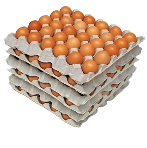 Huevos Frescos de Gallina de Corral Marrones y Blancos Marca Egga 20g Lop Buri Farm Supply Servicio de Alimentos Venta al por Mayor - Product Image 2