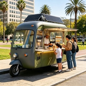 Tricycle électrique pour la vente de nourriture avec vitrine réfrigérée et réfrigérateur homologué CE pour la vente de glaces sur les plages, modèle de luxe - Product Image 5