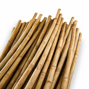 Varas de bambú redondas naturales de buena calidad, varas de bambú crudas sostenibles en paquetes, a precio de productor. - Product Image 3