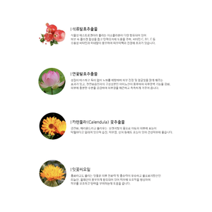 Opus Korea Romantic Fermented 140Ml Skincare Set Granada Lotus Ferment Glow Hidratación Tónico para la piel + Emulsión 2PCs - Product Image 3