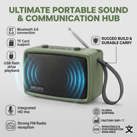 Haut-parleur sans fil rétro TV LN-5016MINI 25W avec basses puissantes, radio FM à double antenne, portable, vente en gros très demandée en Afrique