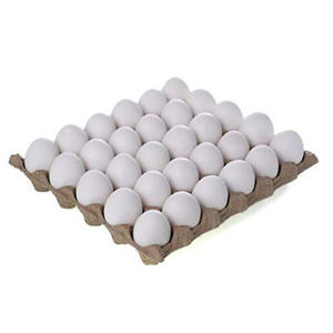 Œufs de poule blancs de qualité export, fournisseur en gros, œufs frais naturels pour importateurs internationaux et supermarchés - Product Image 3