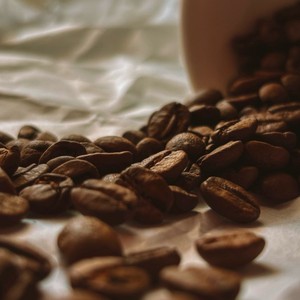 เมล็ดกาแฟโรบัสต้าคั่วเวียดนาม S14 ผู้ผลิตกาแฟแบบ OEM สำหรับโครงการจัดหาสินค้ากาแฟปริมาณมาก - Product Image 2