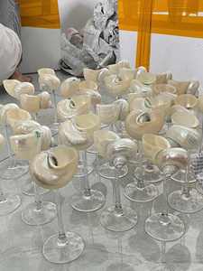 Copas de Vino Únicas con Diseño de Conchas Marinas y Artículos Decorativos Inspirados en el Océano para Decoración del Hogar, Tiendas de Regalos y Minoristas de Boutiques - Product Image 5