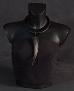 Collar con Colgante de Cuerno Natural Estilo Bohemio, Conjunto de Joyería con Cadena de Resina Acrílica para Mujer, Accesorio de Moda Estilo Vintage - Product Image 1