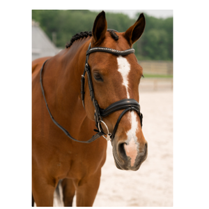 Brida de Cuero Profesional de Alta Calidad para Caballos, Transpirable, Modelo Personalizado 10124bl, Tamaño 2x3x2m, Venta Caliente, China, Equitación - Product Image 1