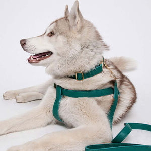 Collier pour chien en cuir véritable de luxe, style tendance, dernier design, collier large et conique de qualité supérieure - Product Image 3
