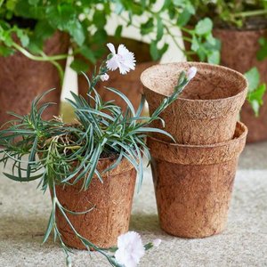 Hydroponic <b>plant</b> pots cheapest price coconut coir pot producer supply coco fiber seedling <b>basket</b> - Product Image 4