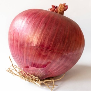 Cebollas Rojas Frescas de Primera Calidad, Selección de Bulbos con Fuerte Aroma y Superficie Limpia, Listas para Cadenas de Suministro Internacionales - Product Image 6