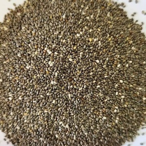 Semillas de Chía 100% Frescas y Crudas, Salvia Hispanica en Gránulos, Ingrediente Integral para el Procesamiento de Alimentos - Product Image 1