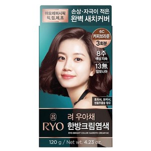 Ryo Uachae Stylish Temporary <b>Foam</b> Hair Color in Gray Coffee Brown 6C (120G) All Hair Types <b>Model</b> 8806390519656 - Product Image 1