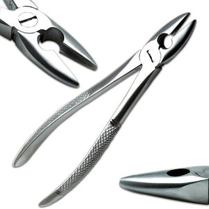 Stainless Steel 10 Pieces Dental Tooth Extracting Adult Forceps Lower Upper Molar Dental surgical <b>instruments</b> By Grip Surgical - Product Image 2