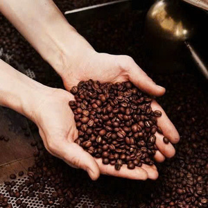 เมล็ดกาแฟอาราบิก้า โรบัสต้าคั่วคุณภาพพรีเมียม กาแฟเวียดนาม กาแฟออร์แกนิก รับผลิตแบบ OEM บรรจุภัณฑ์สำหรับขายปลีก ผู้ผลิตกาแฟเวียดนาม - Product Image 3