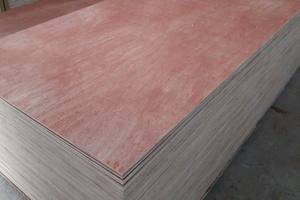 Fomex Greenwood Bintangor, Diseño Moderno, Madera Contrachapada de Doble Cara de Primera Clase, 18 mm, E1 Formaldehído, 1 Año de Garantía, Recubrimiento de Melamina - Product Image 4