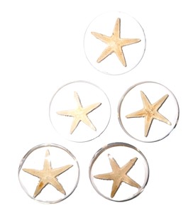 Cabujón de plástico con espécimen real de estrella de mar, redondo, 35x35 mm, base plana transparente para manualidades y fabricación de joyas - Product Image 6
