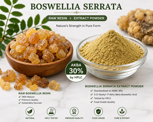 Extrait de Boswellia Serrata de qualité alimentaire avec 30% d'Akba par HPLC |   Encens de haute qualité, matière première botanique - Product Image 1