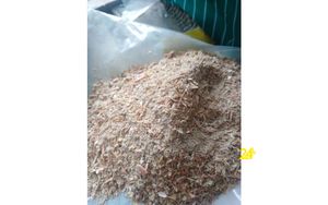 Carcasa de camarón para alimentación Animal, carcasa de camarón hecho en Vietnam con ángulo de precio más bajo - Product Image 5