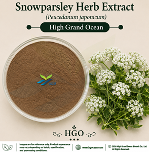 Extracto de Hierba Snowparsley (Peucedanum japonicum) de Grado Alimenticio, Suministro Directo de Fábrica HGO, Extracto en Proporciones 4:1 5:1 10:1 20:1 100:1 200:1 - Product Image 1