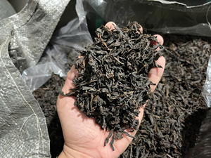 ชาดำหมักธรรมชาติแบบใบหลวมสำหรับเครื่องดื่มชานมไข่มุกในร้านกาแฟ - Product Image 6