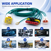 Harness Kabel Elektronik Tahan Air PBT Kustom Bersertifikasi Weisheng IATF16949 5P 9P IP67 DJ7026-2-11/21