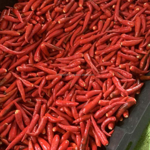 Piments rouges congelés (avec ou sans tige) de haute qualité, vietnamiens, congelés IQF - Product Image 2