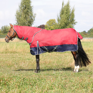 Couverture imperméable pour cheval, tapis d'extérieur pour utilisation sur le terrain, fabriquée en tissu polyester 600D, système de boucles sécurisées - Product Image 2