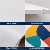 Papier PP auto-adhésif mat en gros (120-160 g/m², épaisseur 0,2 mm) pour impression éco-solvant sur cadre et publicité extérieure
